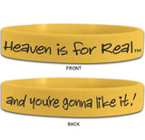 Heaven is for Real,  DVD-Based -  Road Trip Ready - Conversation Kit